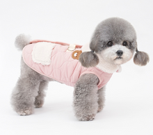 Load image into Gallery viewer, NEW Mr.Teddy D ring Dog Jacket