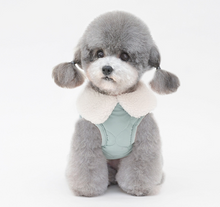 Load image into Gallery viewer, NEW Mr.Teddy D ring Dog Jacket