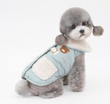 Load image into Gallery viewer, NEW Mr.Teddy D ring Dog Jacket