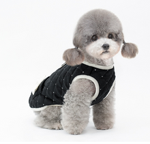 Load image into Gallery viewer, NEW Madam dog jacket