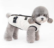 Load image into Gallery viewer, NEW Madam dog jacket