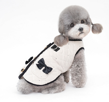 Load image into Gallery viewer, NEW Madam dog jacket