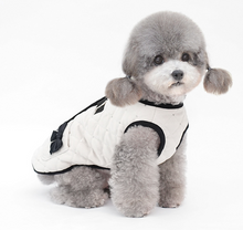 Load image into Gallery viewer, NEW Madam dog jacket