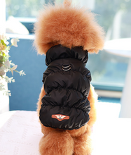 Load image into Gallery viewer, NEW Grane dog jacket