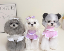 Load image into Gallery viewer, Cutie Frill & Bow Dog Jumper