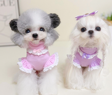 Load image into Gallery viewer, Cutie Frill & Bow Dog Jumper