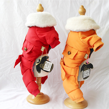 Load image into Gallery viewer, In Style dog winter all in one