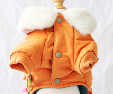 Load image into Gallery viewer, In Style dog winter all in one