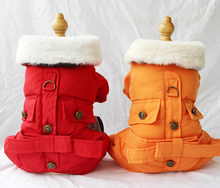 Load image into Gallery viewer, In Style dog winter all in one