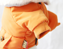 Load image into Gallery viewer, In Style dog winter all in one