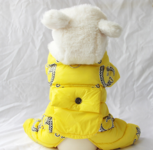Load image into Gallery viewer, NEW Icon dog winter all in one
