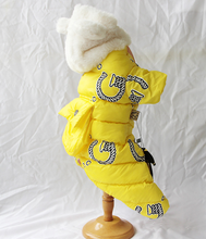 Load image into Gallery viewer, NEW Icon dog winter all in one