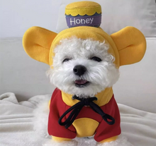 Load image into Gallery viewer, NEW Vinnie and Piglet dog hoodie