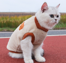 Load image into Gallery viewer, NEW Fluff Teddy dog jumper