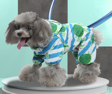 Load image into Gallery viewer, NEW Turtles Rain Dog All in one