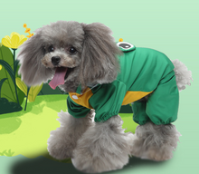 Load image into Gallery viewer, Froggy Rain Dog All in one