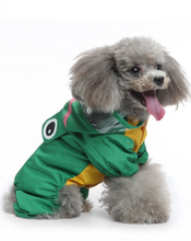 Load image into Gallery viewer, Froggy Rain Dog All in one
