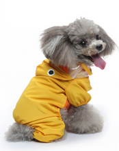 Load image into Gallery viewer, Duckie Rain Dog All in one
