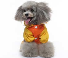 Load image into Gallery viewer, Duckie Rain Dog All in one