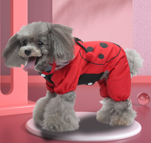 Load image into Gallery viewer, LadyBug Rain Dog All in one