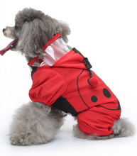 Load image into Gallery viewer, LadyBug Rain Dog All in one