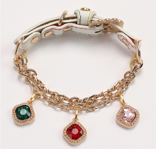 Load image into Gallery viewer, NEW Glamour dog collar