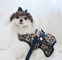 Load image into Gallery viewer, Bardiva dog harness dress