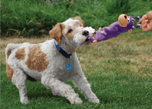 Load image into Gallery viewer, KONG TUGGER MOORSE - MEDIUM/LARGE