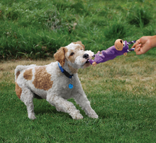 Load image into Gallery viewer, KONG TUGGER MONKEY - SMALL/MEDIUM