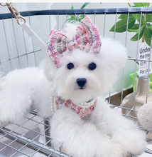 Load image into Gallery viewer, Lucia dog harness