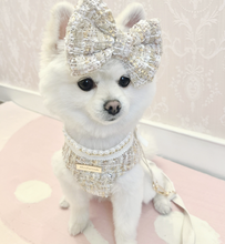 Load image into Gallery viewer, Lucia dog harness