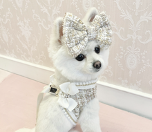 Load image into Gallery viewer, NEW Lucia dog harness