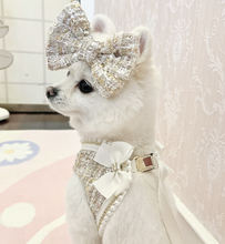 Load image into Gallery viewer, NEW Lucia dog harness