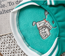 Load image into Gallery viewer, Peanuts Dog Jumper