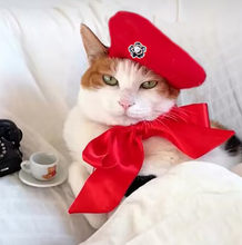 Load image into Gallery viewer, NEW In Style Dog Bonnet Hat