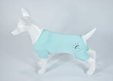 Load image into Gallery viewer, New UPF/SPF 50+ Anti-UV Sunblock Dog Onesie