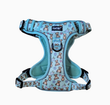 Load image into Gallery viewer, Pawstory Trail Buddy Harnass - Bear Hugs