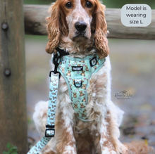 Load image into Gallery viewer, Pawstory Trail Buddy Harnass - Bear Hugs