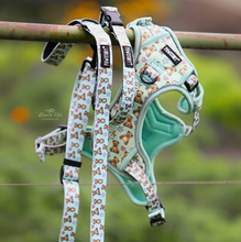 Load image into Gallery viewer, Pawstory Trail Buddy Harnass - Bear Hugs