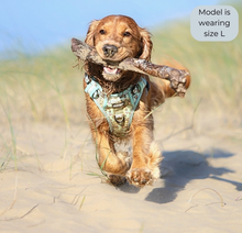 Load image into Gallery viewer, Pawstory Trail Buddy Harnass - Bear Hugs