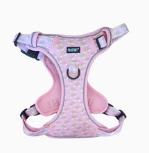 Load image into Gallery viewer, Pawstory Trail Buddy Harnass - Chasing Rainbows