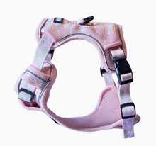 Load image into Gallery viewer, Pawstory Trail Buddy Harnass - Chasing Rainbows