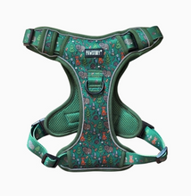 Load image into Gallery viewer, Pawstory Trail Buddy Harnass - Little Adventurer