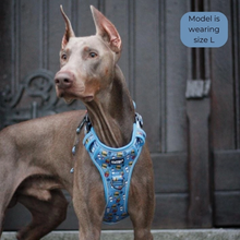 Load image into Gallery viewer, Pawstory Trail Buddy Harnass - Mcwoofies