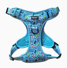 Load image into Gallery viewer, Pawstory Trail Buddy Harnass - Funky Dino