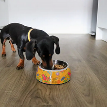 Load image into Gallery viewer, PawStory Avenue Classic Pet Bowl – Harvest Gold