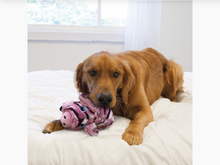 Load image into Gallery viewer, KONG Low Stuff Stripes - Pig