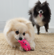 Load image into Gallery viewer, KONG Snuzzles Kiddos Mini Squeaker Dog Toy Extra Small (Pig)