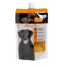 Load image into Gallery viewer, Golden Turmeric Paste