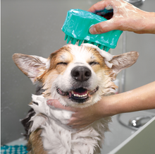 Load image into Gallery viewer, Kong Zoomgroom With Soap Dispenser